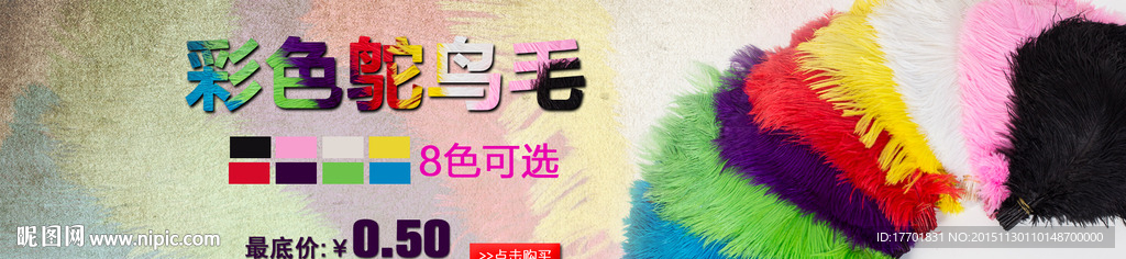 彩色鸵鸟毛海报