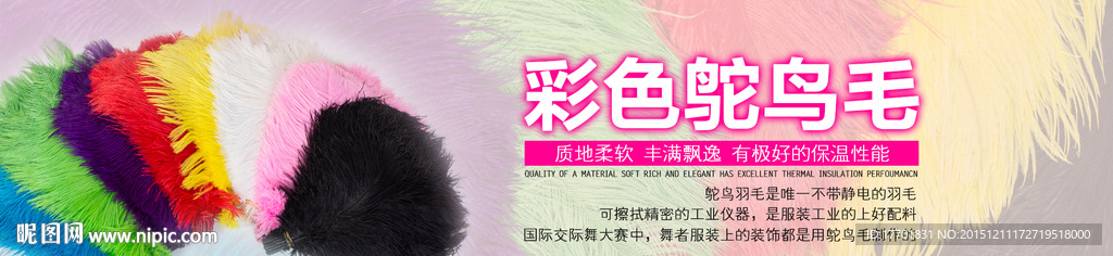 彩色鸵鸟毛海报