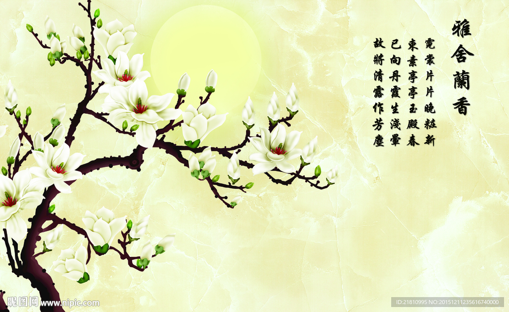 雅舍兰香 玉兰花分层图片