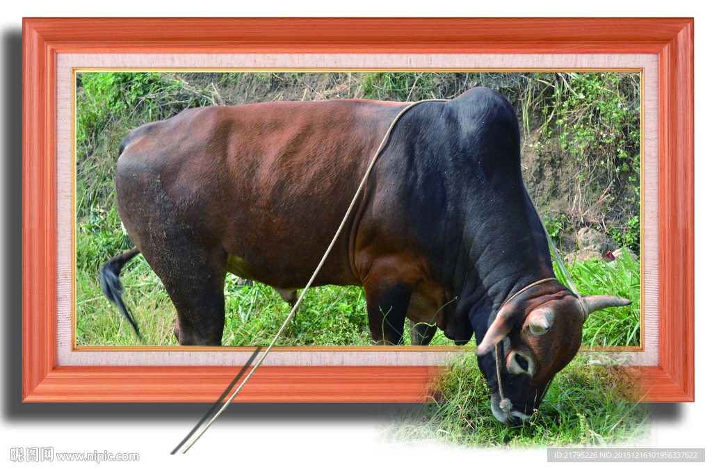 3D立体画 黄牛吃草