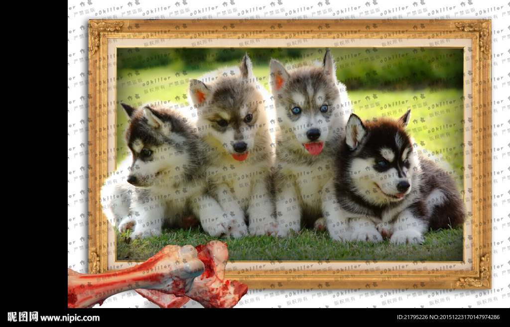 3D立体画 狗兄弟们