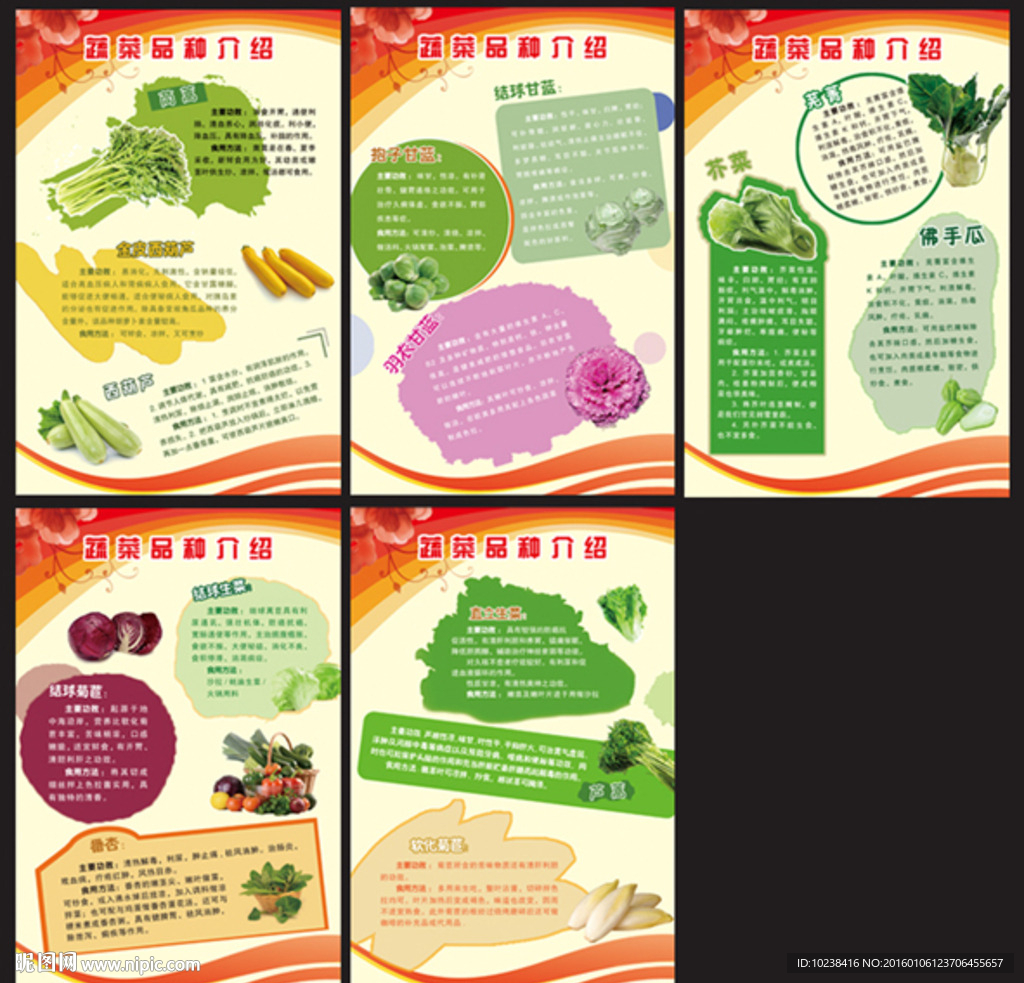 科普蔬菜品种介绍