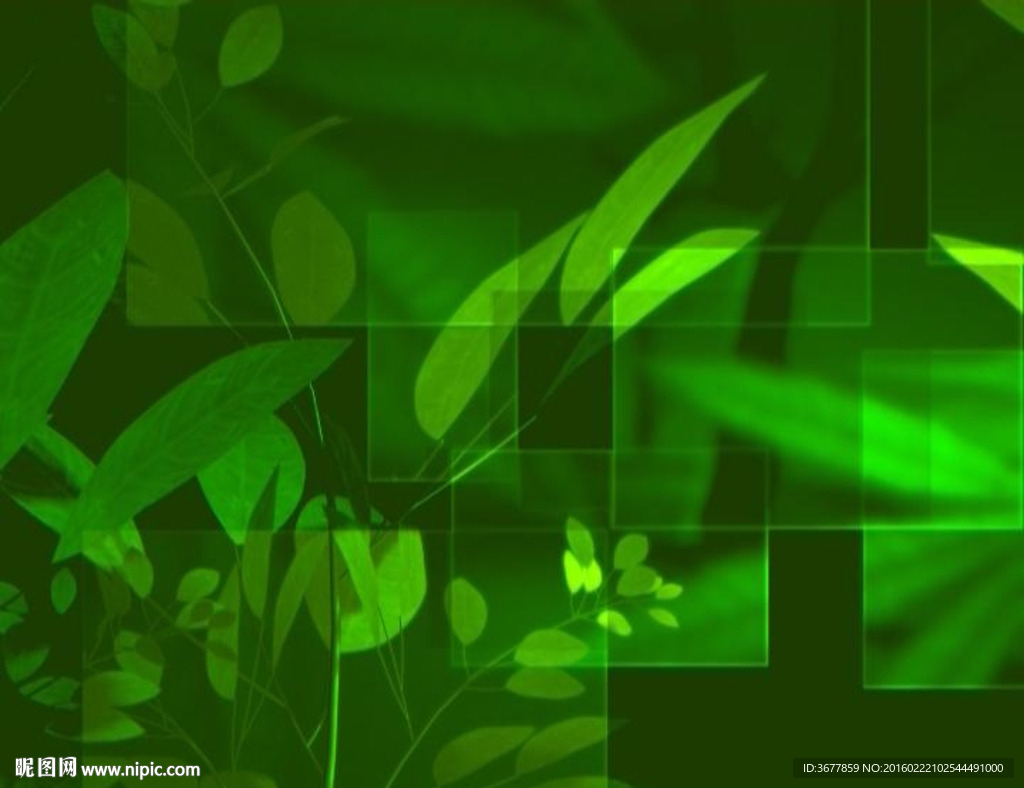 绿色植物动态背景