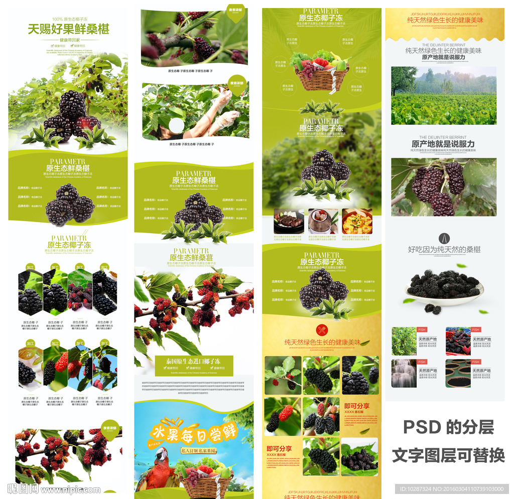 大气唯美桑椹水果首页