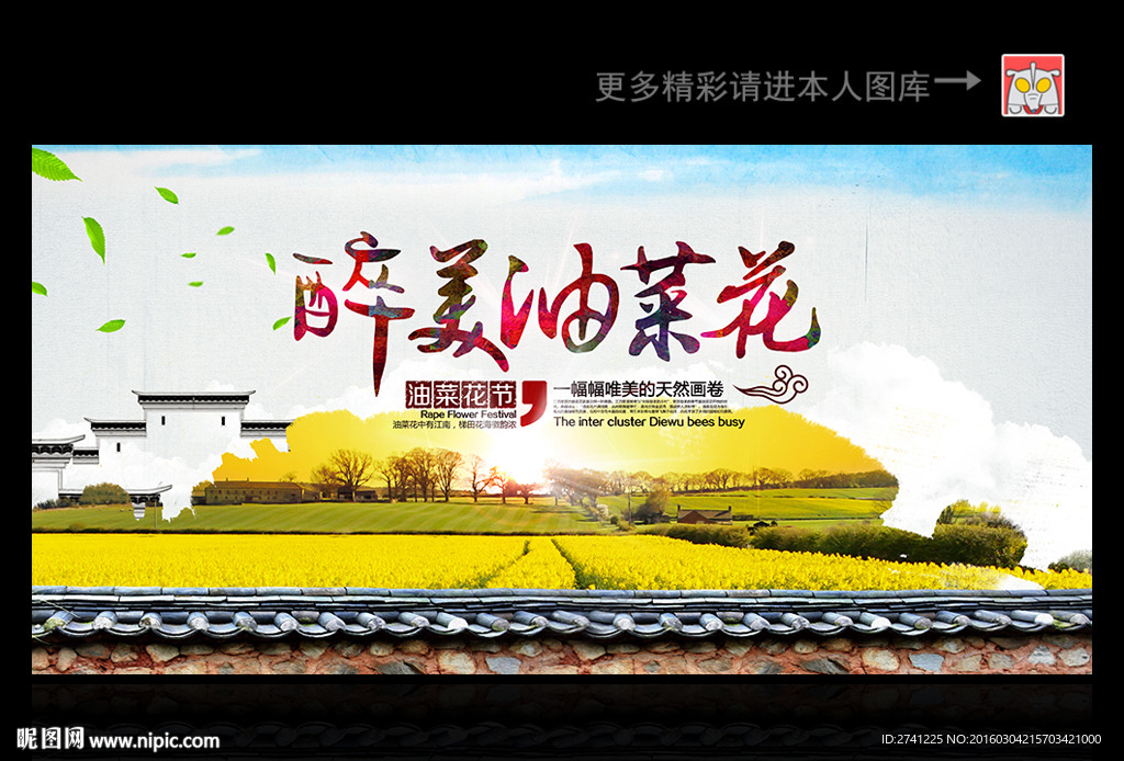 油菜花