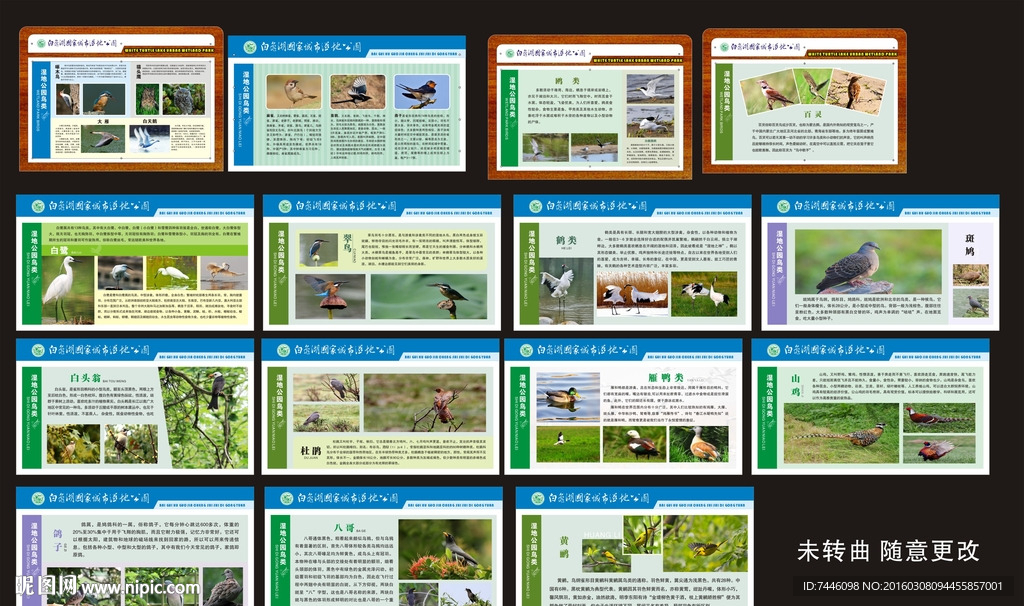 白龟湖湿地鸟类