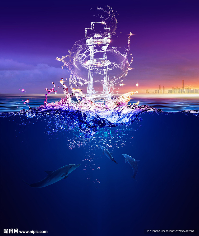 海豚争国际像棋