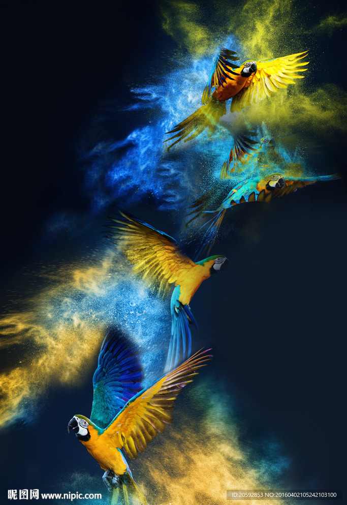 时尚炫彩飞翔鹦鹉印花图案