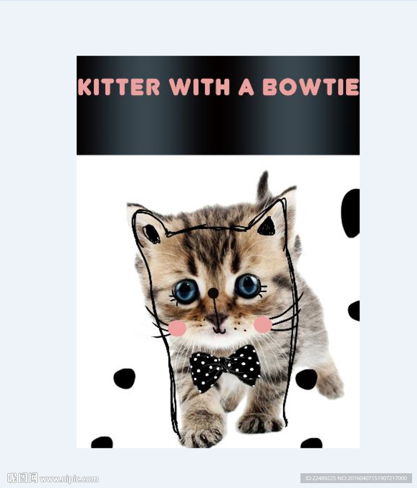 小猫（内含高清分层图）