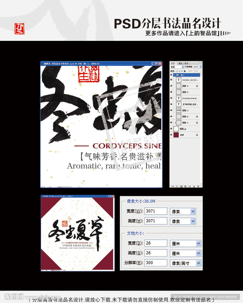 冬虫夏草 手写书法