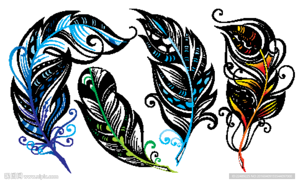 羽毛（内含高清分层图）