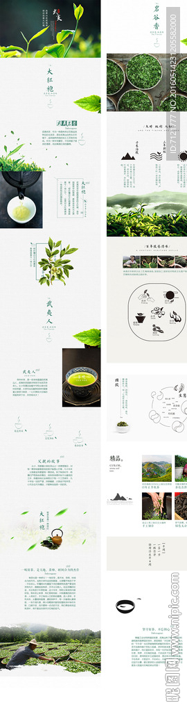 茶叶品牌故事（无代码）