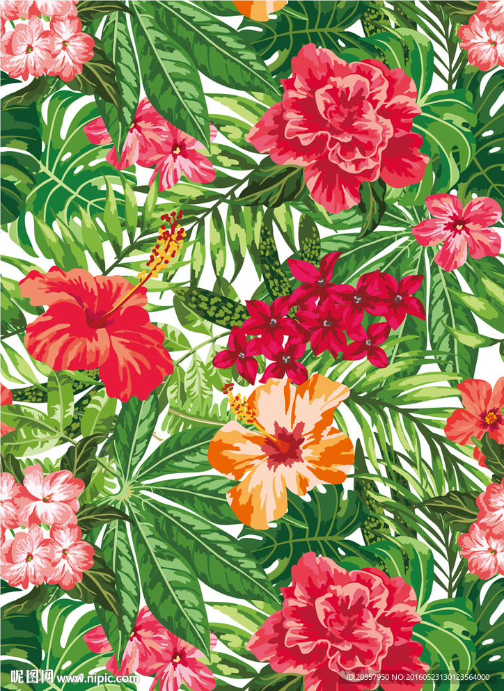 花卉图案热带花卉图案植物花卉