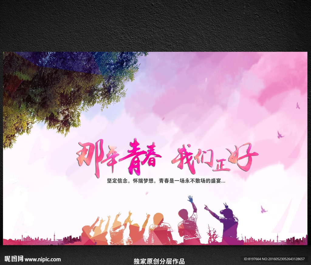 那年青春我们正好