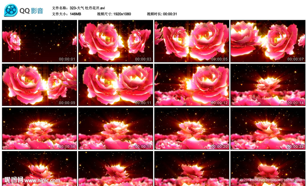 金光 牡丹花开婚礼演出视频素材