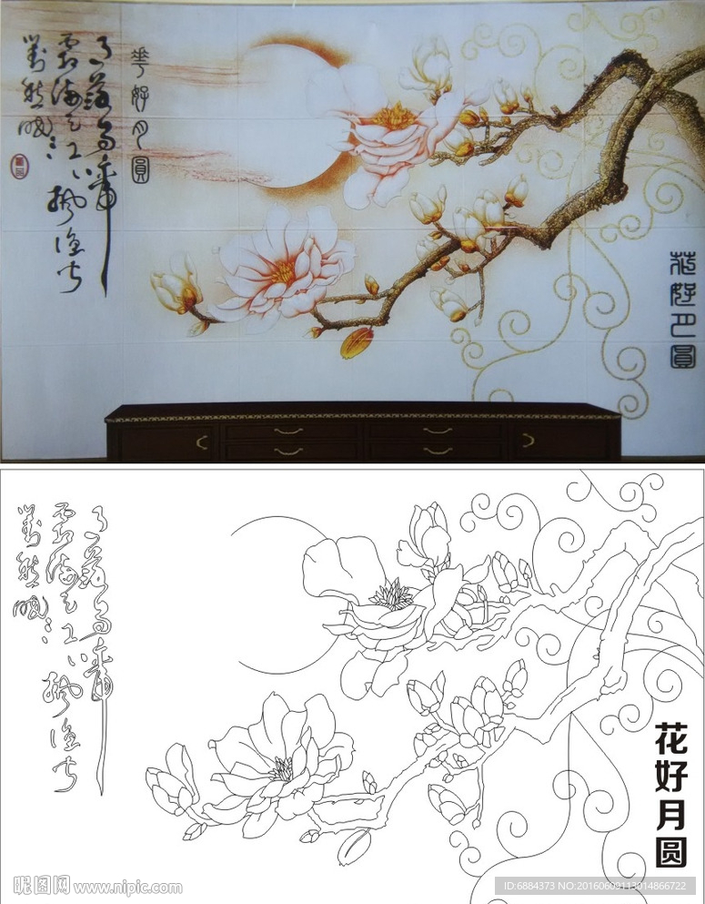 花好月圆 玉兰花 月亮