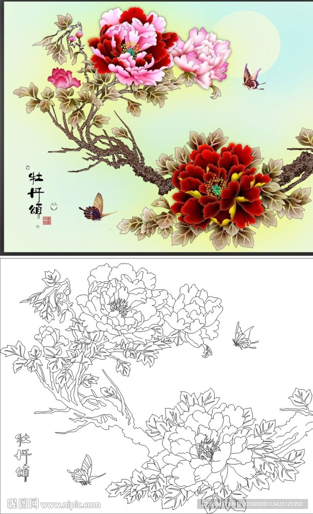 牡丹颂 蝴蝶 牡丹花