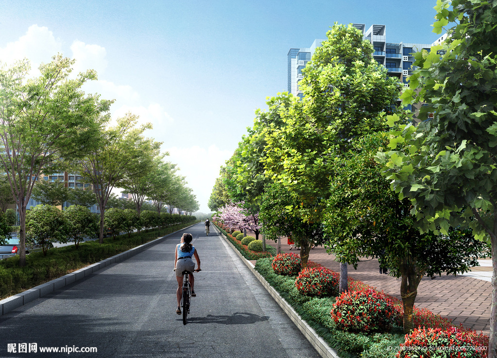 馨云路标准段透视