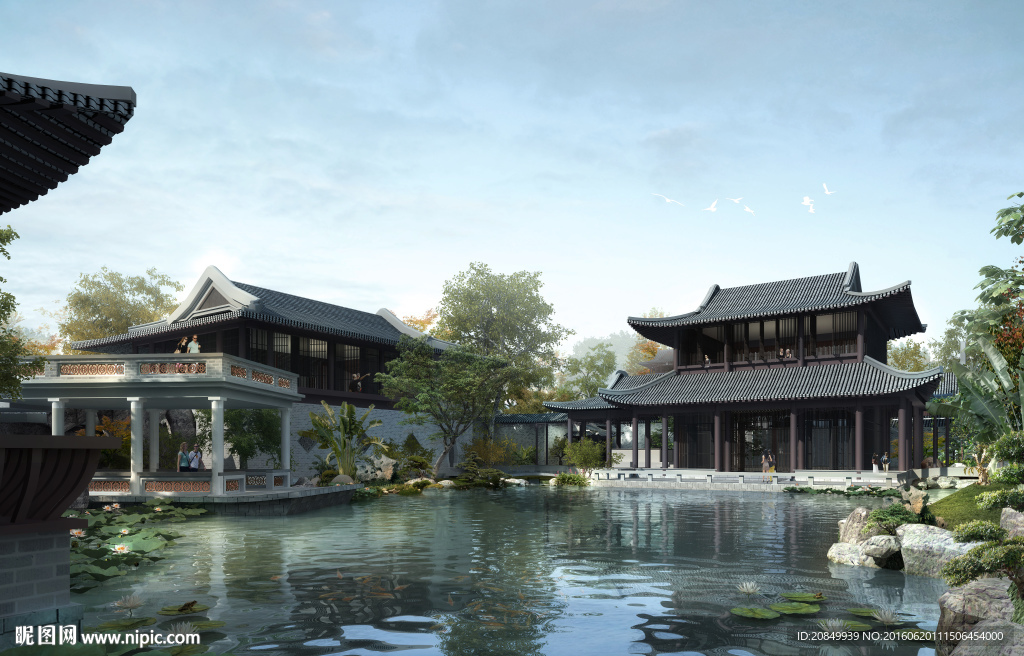 古建庭院荷花池