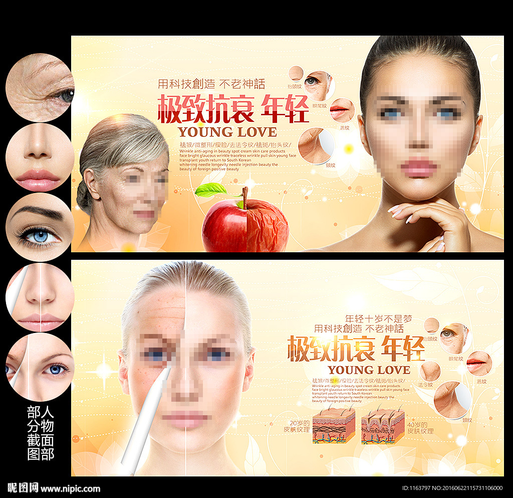 抗衰老展板