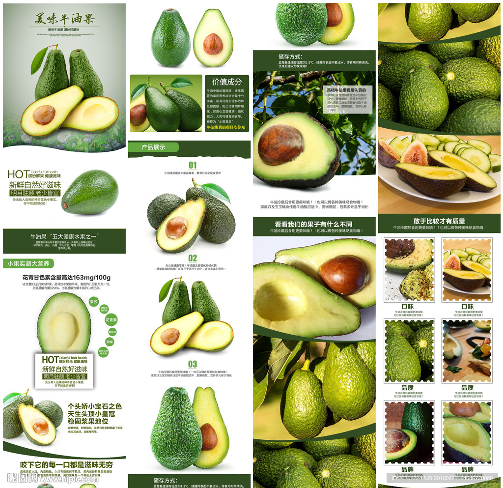 高端牛油果通用模版