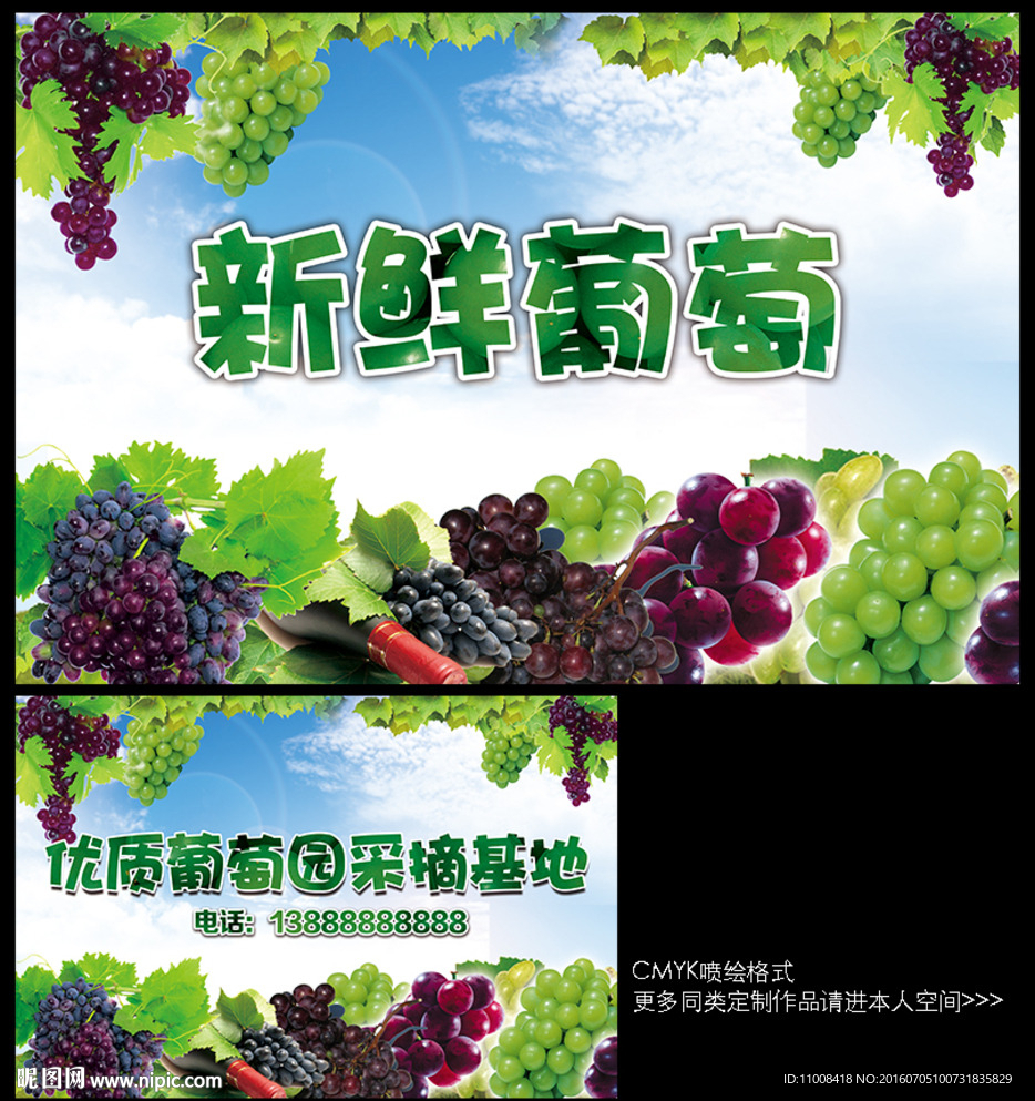 新鲜葡萄采摘喷绘