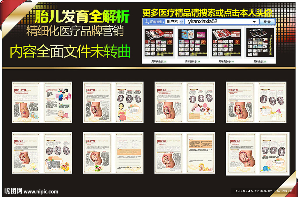 胎儿发育全解析