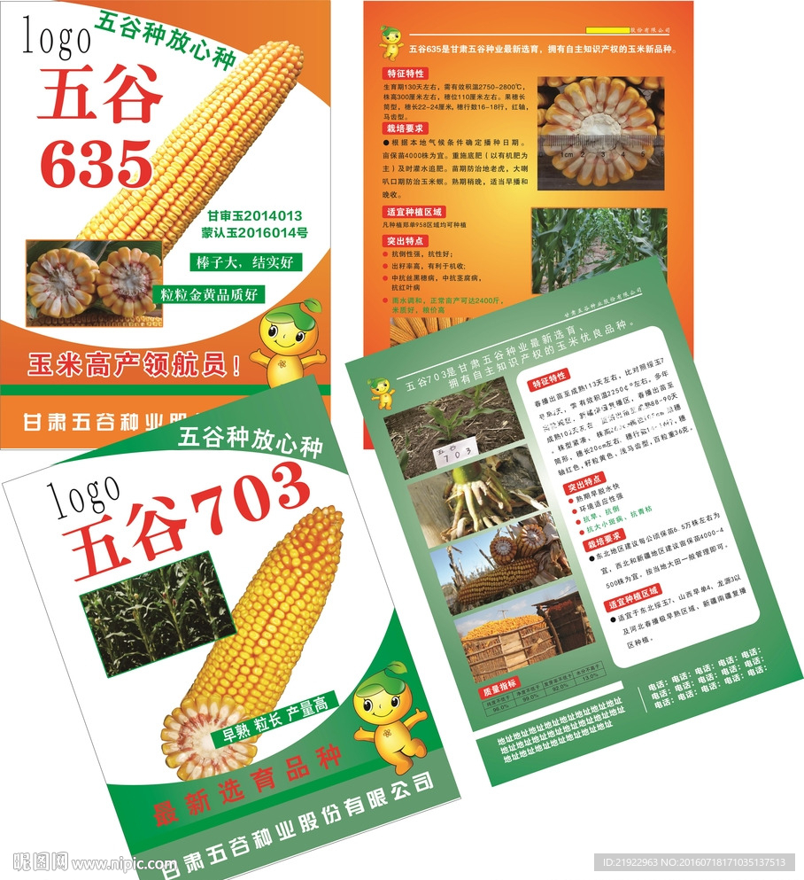 玉米宣传彩页