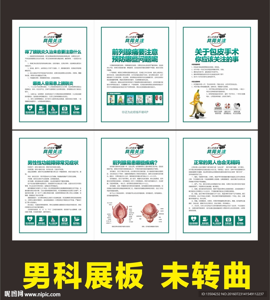 男科展板     男性展板