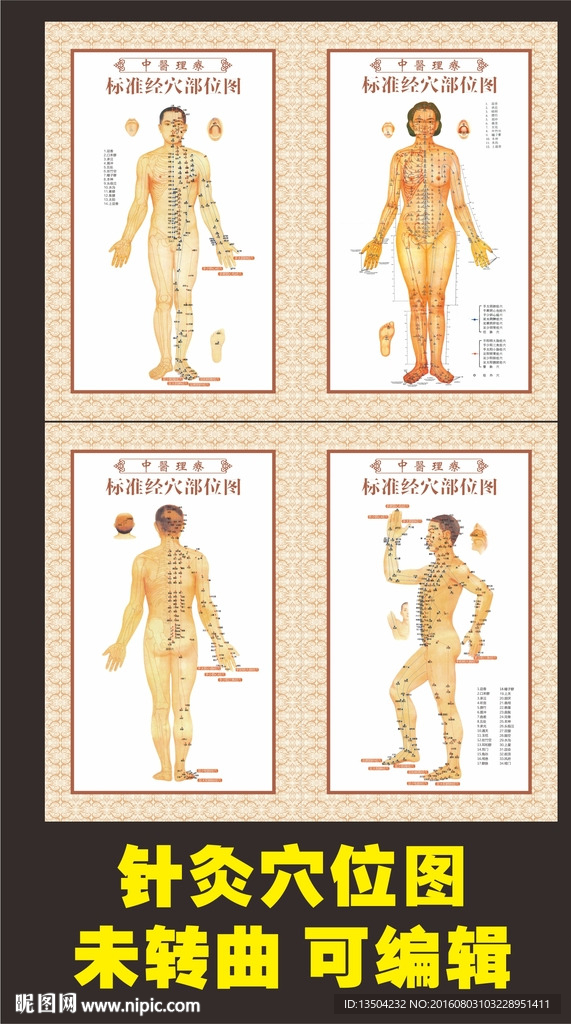 针灸穴位图     穴位挂图