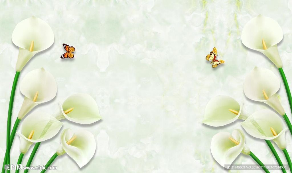 清新马蹄莲背景墙