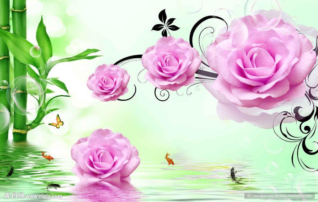 玫瑰花朵 背景画