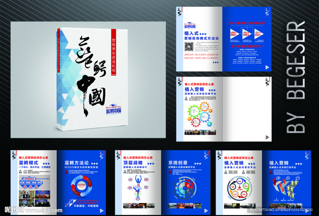 互联网营销策划咨询企业画册