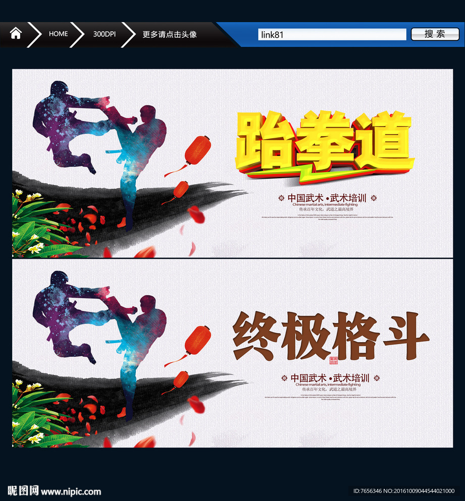 跆拳道 终极格斗