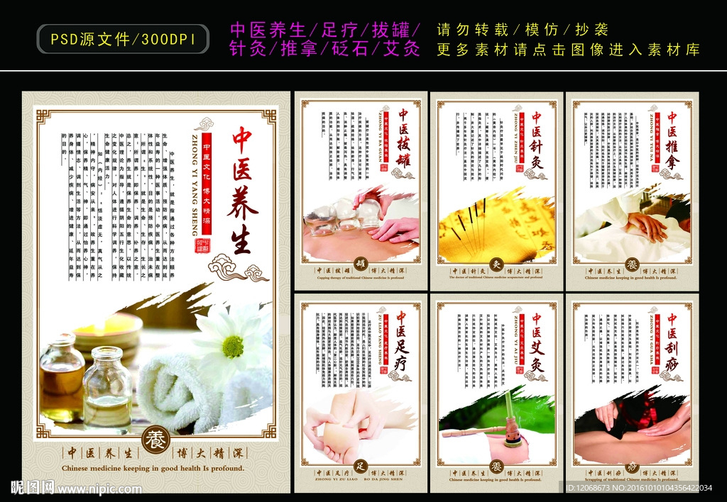 中医养生 中医理疗 减肥