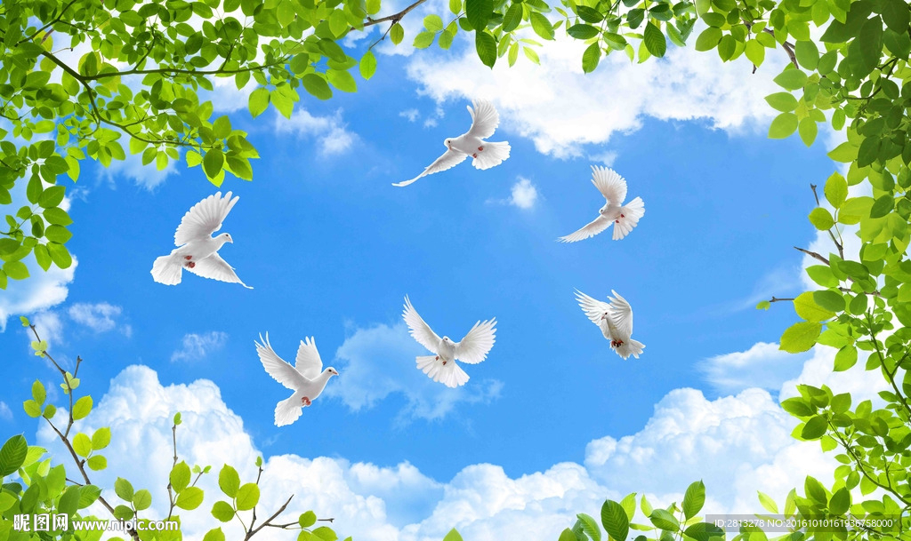 蓝天白云和平鸽背景墙吊顶