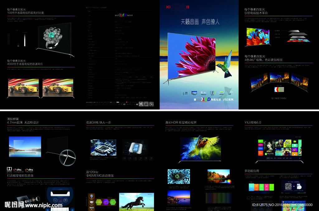 折页 电视真彩画册