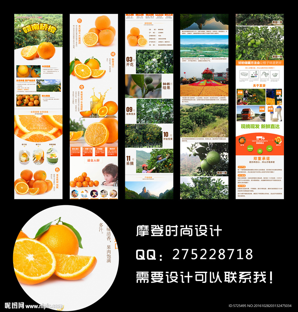 赣南脐橙情页