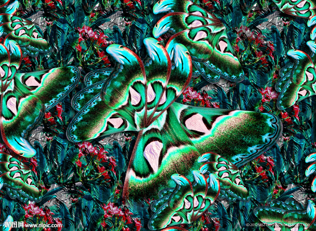 原创蝴蝶花卉组合设计