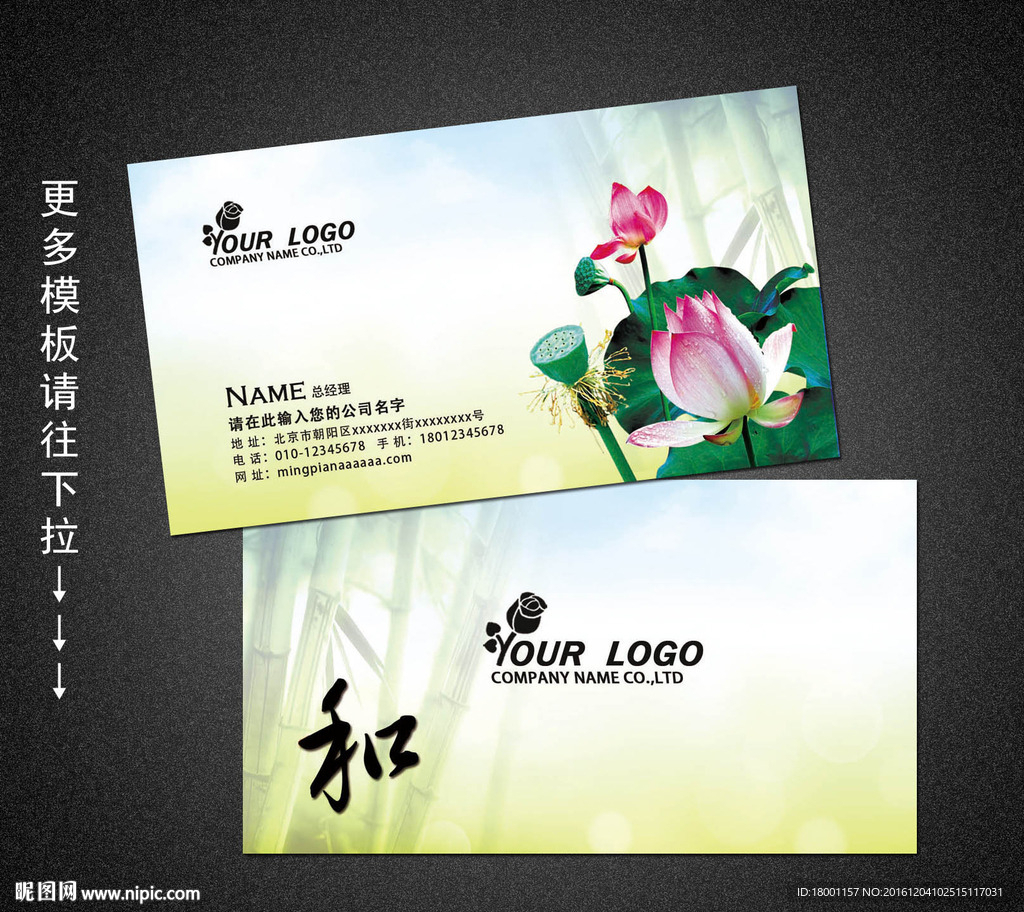 中国风荷花名片