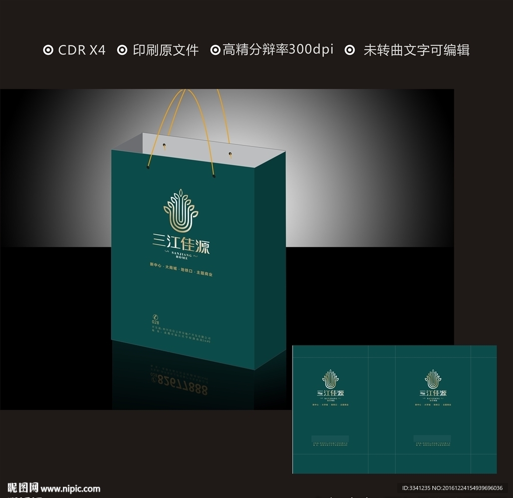 地产手提袋平面图