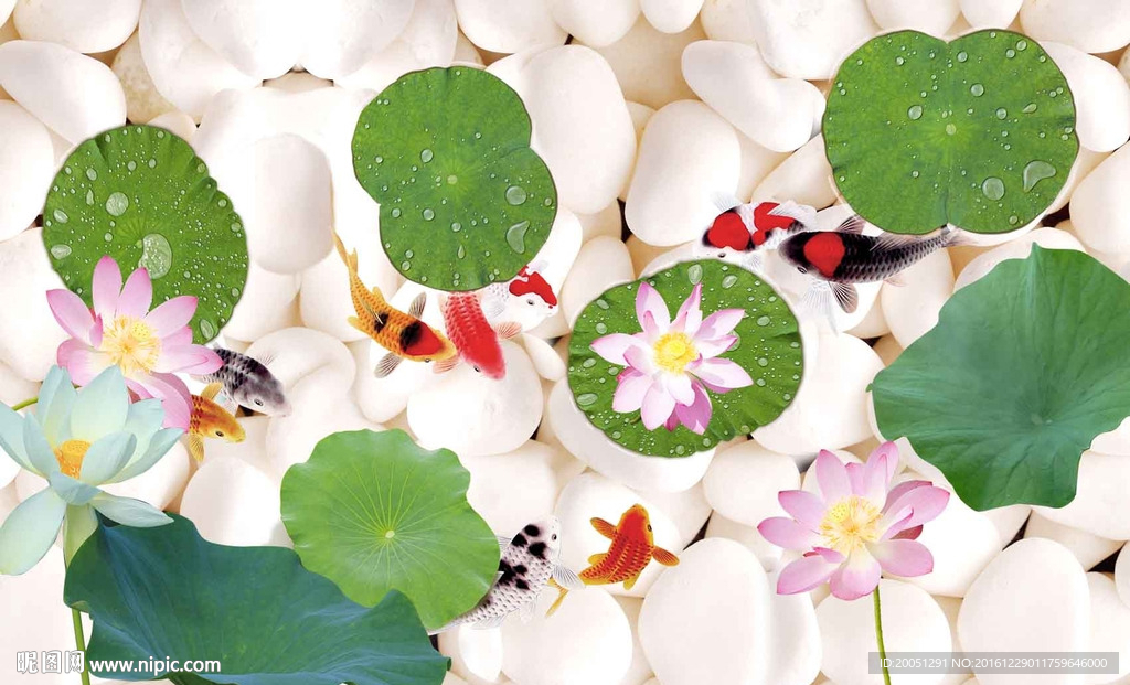 荷花九鱼背景墙