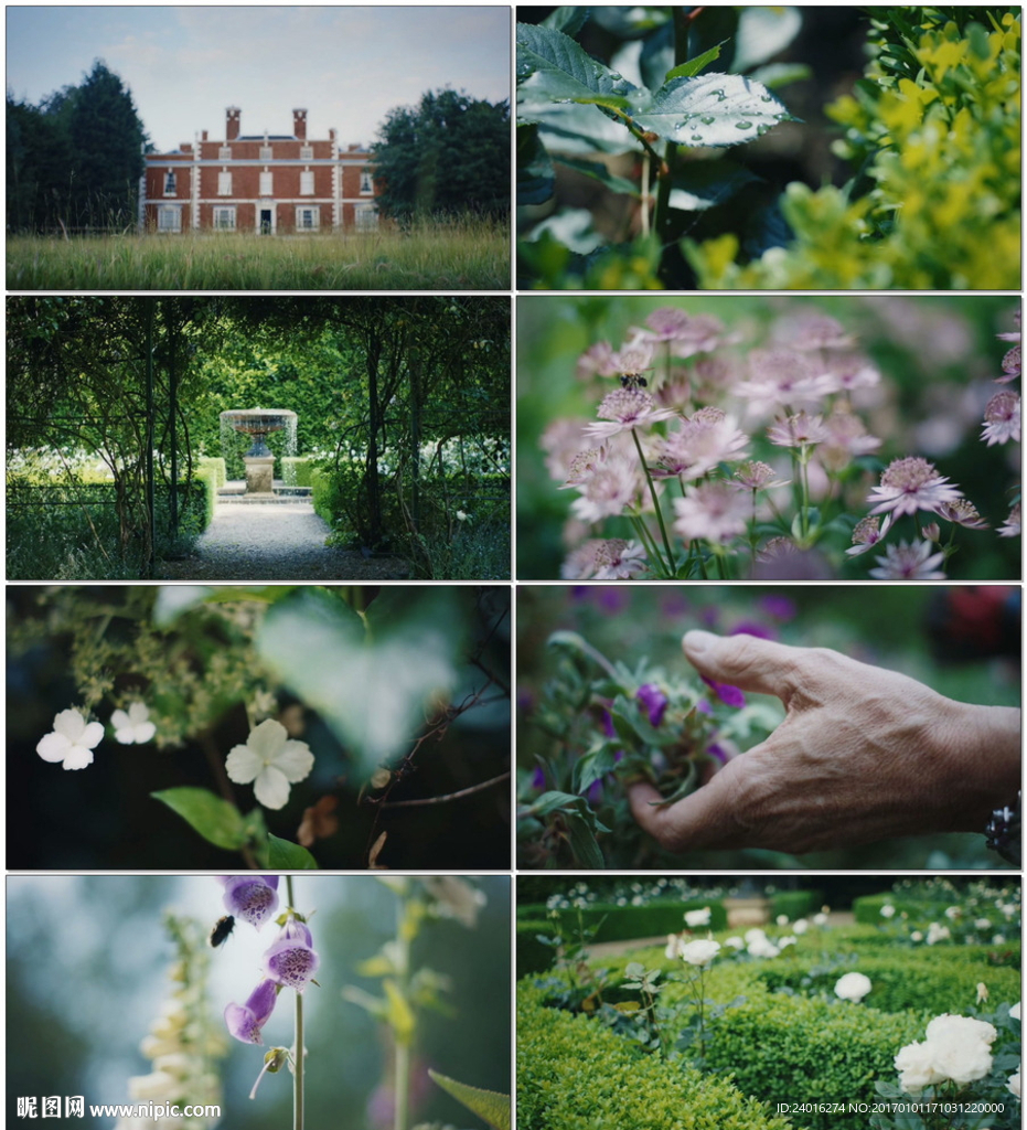 幽静的秘密花园