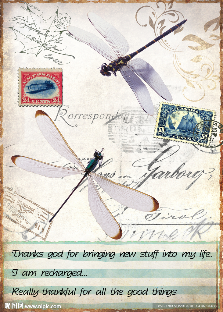 蜻蜓 装饰画 静物 欧美