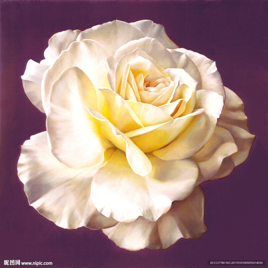 花卉 油画 装饰画 静物 欧美