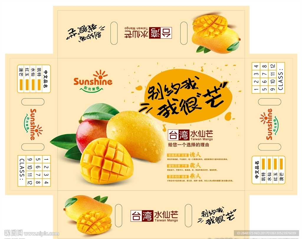 芒果包装平面图