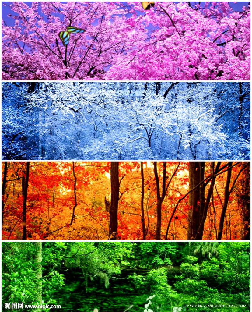 春夏秋冬四季视频