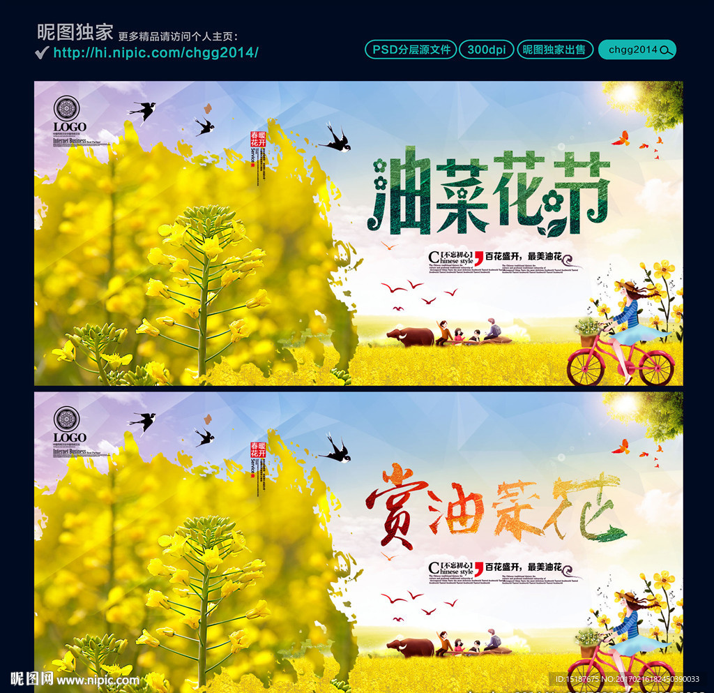 油菜花节 赏油菜花