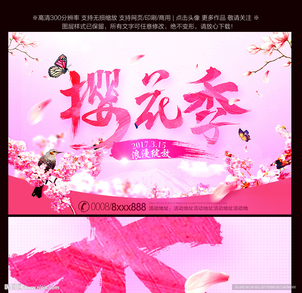 樱花节 樱花 樱花树