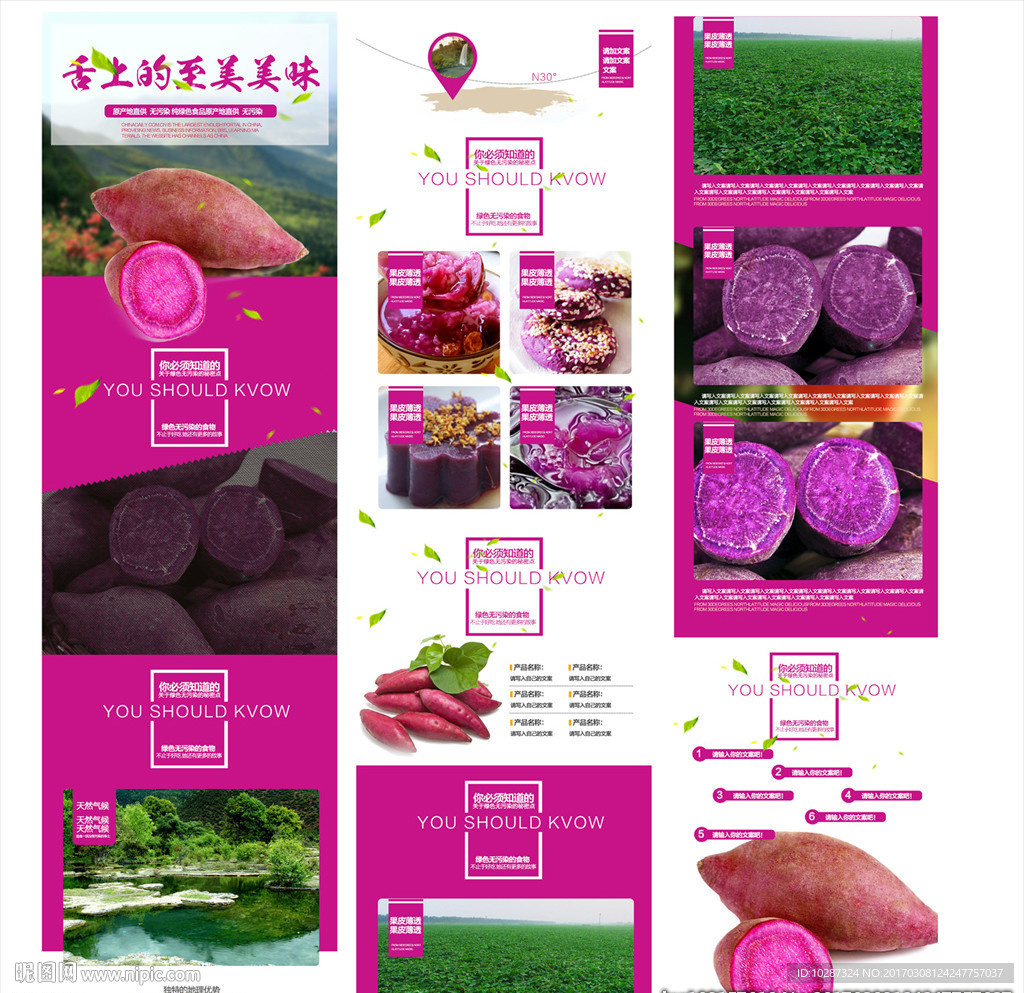 大气紫薯等生鲜通用详情
